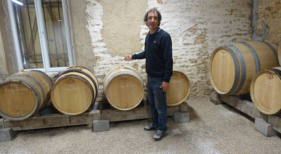 Château de Charodon, the new hot stuff in Burgundy - Caná Wine Shop