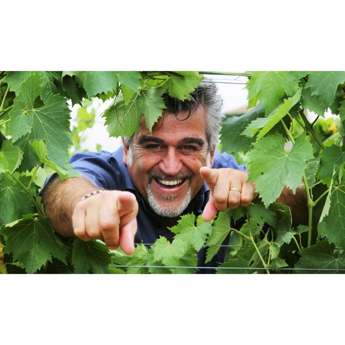 "Vine - to - table series": Wine tasting and tapas with Roberto Cipresso - Caná Wine Shop